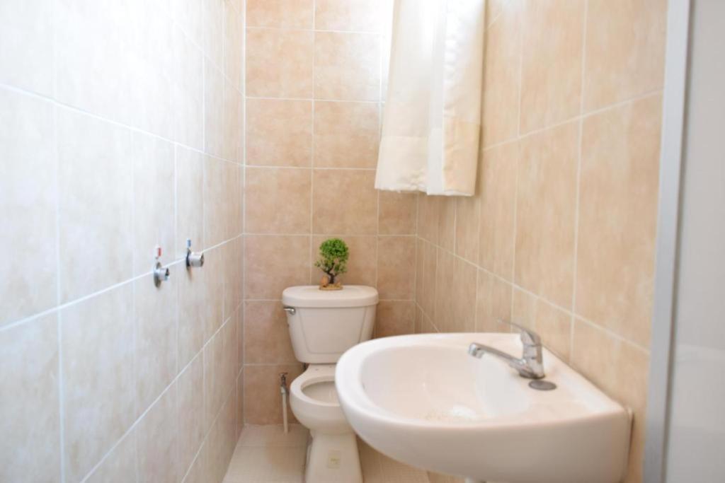 Alto Hostel Мехико Экстерьер фото