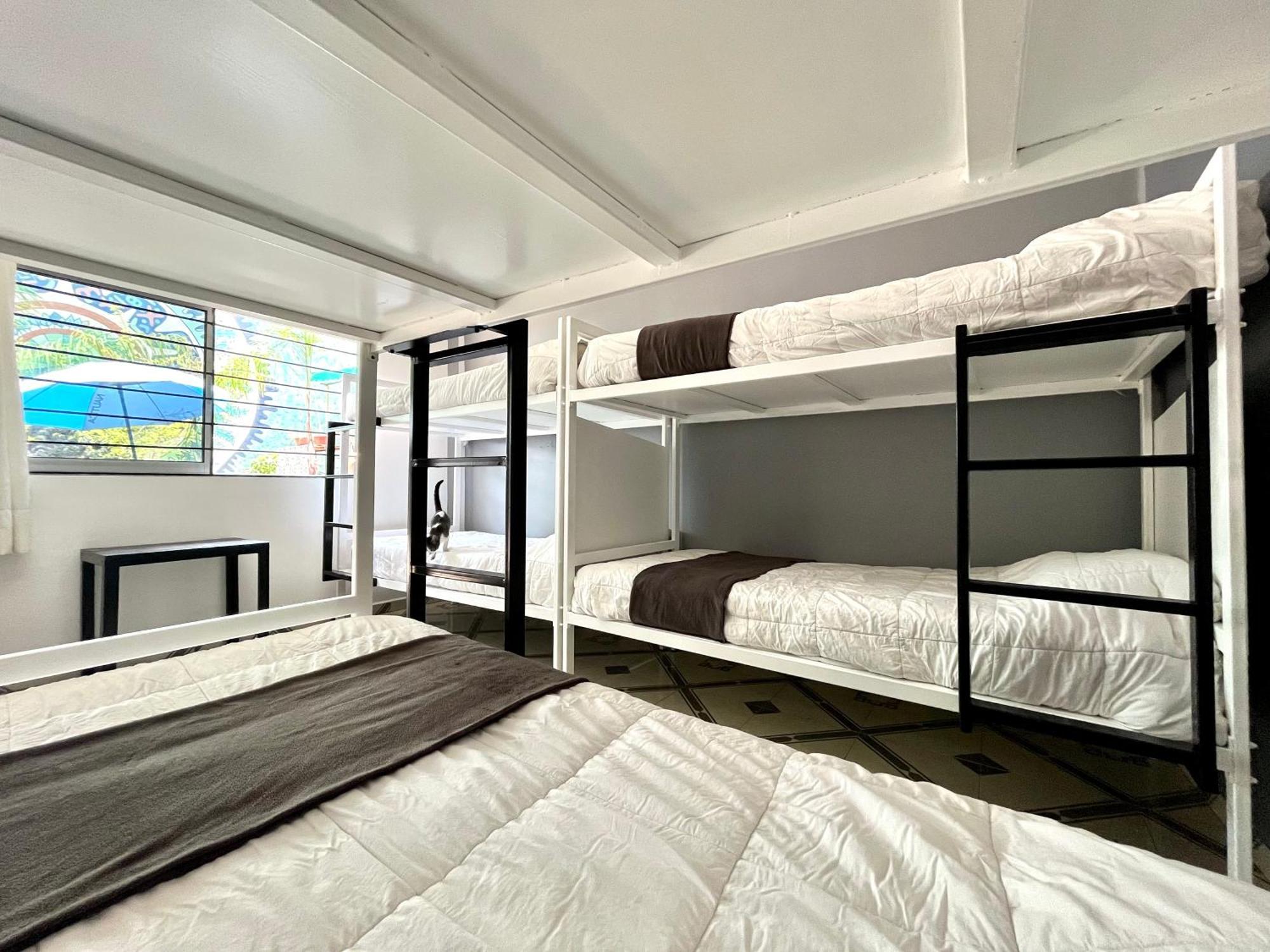 Alto Hostel Мехико Экстерьер фото